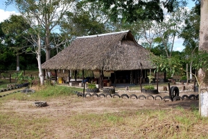 palapa