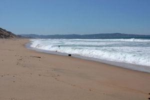 beach_fort_ord_dunes